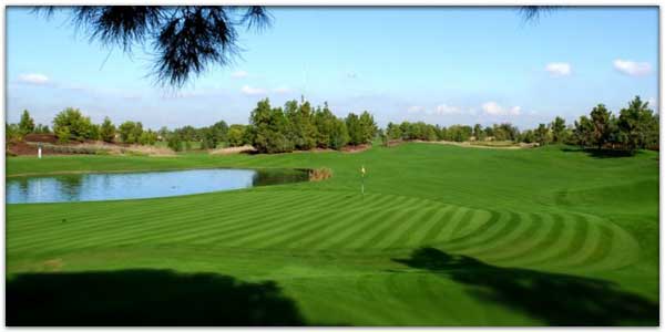 The Raven GC – Phoenix, Hole #6